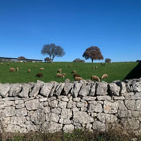 شقة Giardino Dei Trulli Tenute