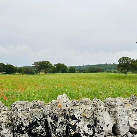 Giardino Dei Trulli Tenute Альберобелло