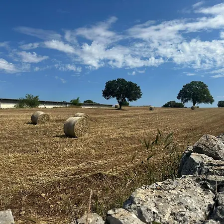 Giardino Dei Trulli Tenute شقة *